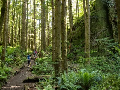 Seattle: Hiking the Little Si Trail