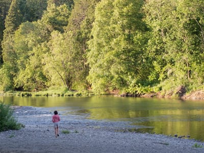 Stanton Park: Lolo on South Umpqua River in Stanton Park