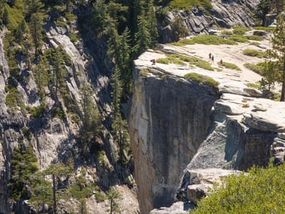 Yosemite National Park: Herb at the Fissures