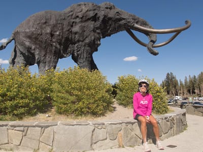 Eastern Sierra (South of  Mono Lake): Lolo with Mammoth