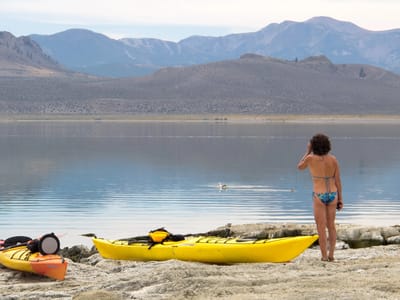 Mono Lake: Paoha Island View of Lake mit Lolo
