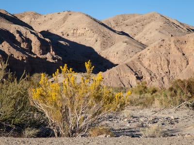 Flying J - Bakersfield: Afton Canyon Walls