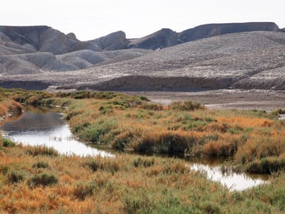 Death Valley National Park: Salt Creek sans Pupfish