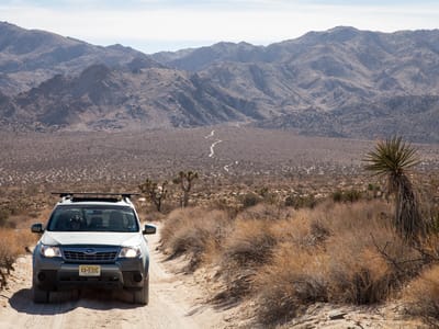 Joshua Tree National Park: Subaru on 4WD Geology Tour Road