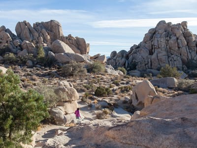 Joshua Tree National Park: Lolo Hiking Hidden Valley