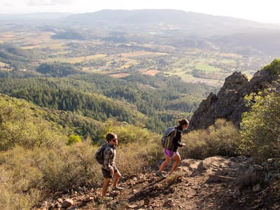 Sebastopol and Sonoma County: Hiking Hood Mountain Regional Park