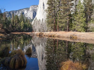Yosemite National Park: El Capitan Picnic Area