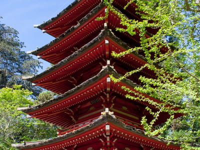 San Francisco: Japanese Tea Garden