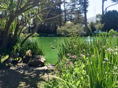San Francisco: Stow Lake
