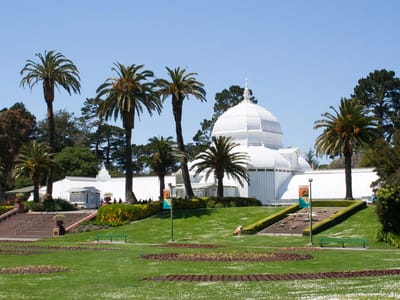 San Francisco: Conservatory of Flowers