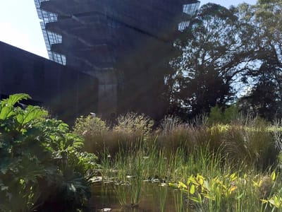 San Francisco: de Young Museum