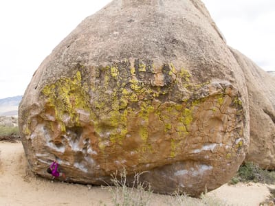 Eastern Sierra - South (Mammoth Lakes, Bishop, and Lone Pine): Lolo on Buttermilk Highball