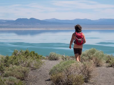 Eastern Sierra - North (June Lake, Lee Vining, Yosemite, and Bridgeport): Lolo on Panum Crater Rim Trail