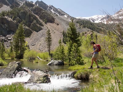 Eastern Sierra - North (June Lake, Lee Vining, Yosemite, and Bridgeport): Lolo Hiking Lundy Canyon