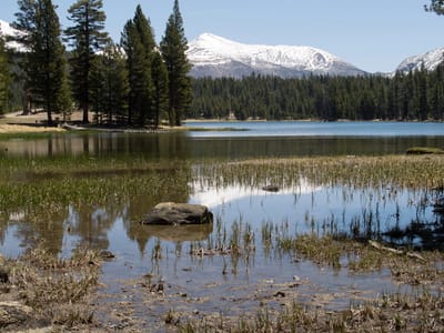 Eastern Sierra - North (June Lake, Lee Vining, Yosemite, and Bridgeport): Dog Lake
