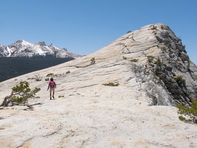 Eastern Sierra - North (June Lake, Lee Vining, Yosemite, and Bridgeport): Lolo Hiking Lembert Dome