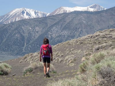 Eastern Sierra - North (June Lake, Lee Vining, Yosemite, and Bridgeport): Lolo Hiking to Black Point Fissures