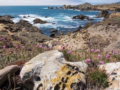 Sebastopol and Sonoma County: Salt Point State Park Coastline
