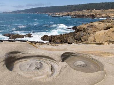 Sebastopol and Sonoma County: Salt Point State Park Sand Eyes