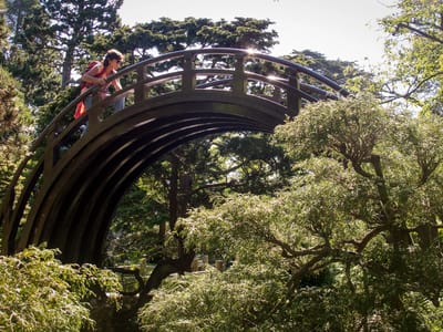 San Francisco and Flight Home: Lolo Ascending Arched Drum Bridge