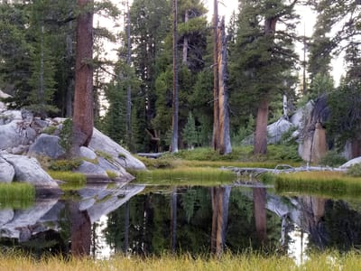 Tuolumne Meadows / Mono Lake: Pond on Hike Out from Olmsted Canyon