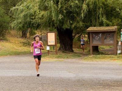 Sebastopol and Side Trips to San Francisco, Sonoma, Napa, and Marin Counties: Lolo Racing with Empire Runners
