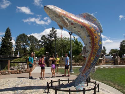 Sebastopol and Side Trips to San Francisco, Sonoma, Napa, and Marin Counties: Santa Rosa Trout Sculpture