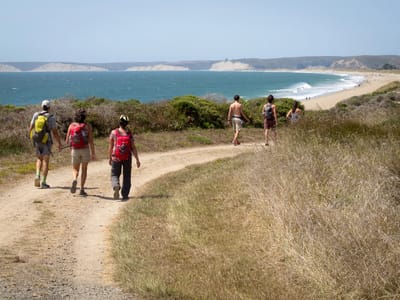 Sebastopol and Side Trips to San Francisco, Sonoma, Napa, and Marin Counties: Hiking at Point Reyes