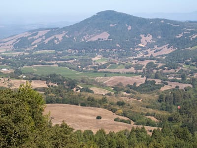 Sebastopol and Side Trips to San Francisco, Sonoma, Napa, and Marin Counties: View from North Sonoma Mountain Regional Park