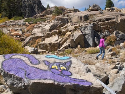 Truckee: Lolo Hiking by the Snowsheds with Purple Cat
