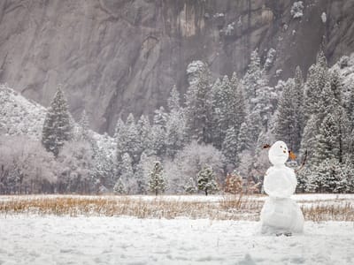 Yosemite National Park: Lonely Snowman in the Meadow