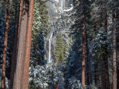 Yosemite National Park: Family with Yosemite Falls