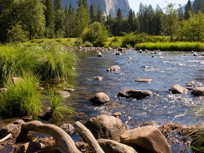 Yosemite National Park: Precarious Descent to the Overlook