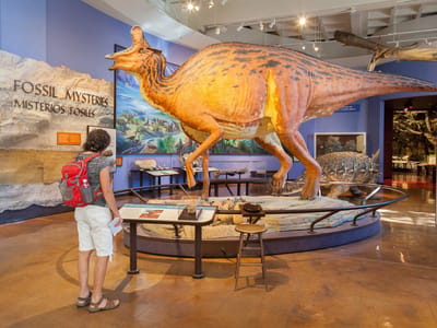 Campland on the Bay and San Diego Side Trips: Museum of Natural History
