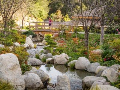 Campland on the Bay and San Diego Side Trips: Japanese Friendship Garden