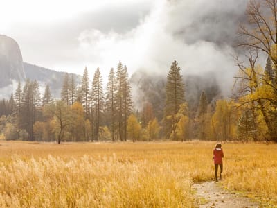 Yosemite National Park: Lolo still wandering around meadow