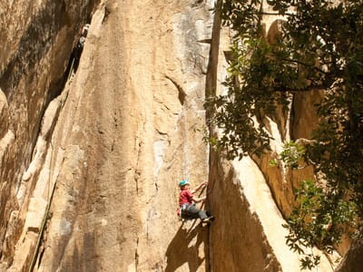 Yosemite National Park: Tommy on Cookie Monster