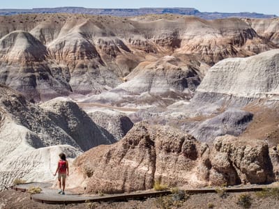 Petrified Forest National Park: Lolo on the Blue Mesa Trail