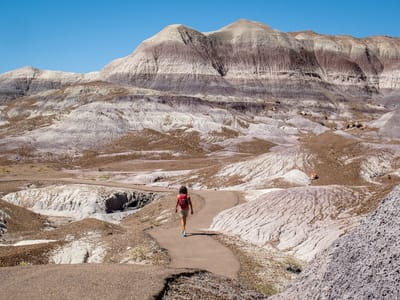 Petrified Forest National Park: More Blue Mesa