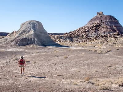 Petrified Forest National Park: \"Off the Beaten Path\" to Martha's Butte