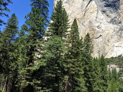 Yosemite Valley: Herb cooling off in the Merced