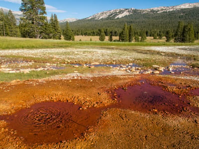 Yosemite - Tuolumne Meadows: Soda Springs