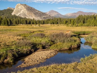 Yosemite - Tuolumne Meadows: Tuolumne Meadows with Lembert Dome
