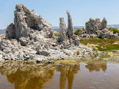 Mono Lake and Travertine Hot Springs (Bridgeport): Giraffe tufas