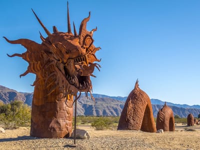 Anza-Borrego State Park: Desert Serpent
