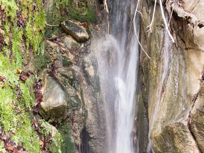 Anza-Borrego State Park: Maidenhair Falls in Hellhole Canyon