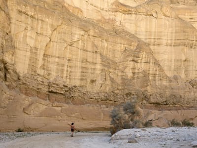 Anza-Borrego State Park: Sandstone Canyon
