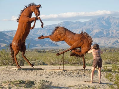 Anza-Borrego State Park: Galletta Meadows - Fighting Stallions