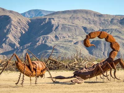 Anza-Borrego State Park: Galleta Meadows - Dueling Scorpions