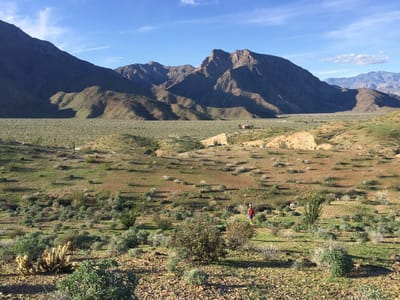 Anza-Borrego State Park: View of Coyote Canyon from Alcoholic Pass